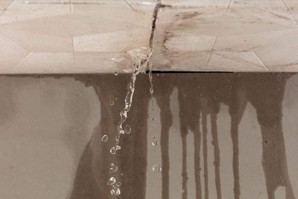 Professional Water Damage Inspection technician working in South Gate, CA